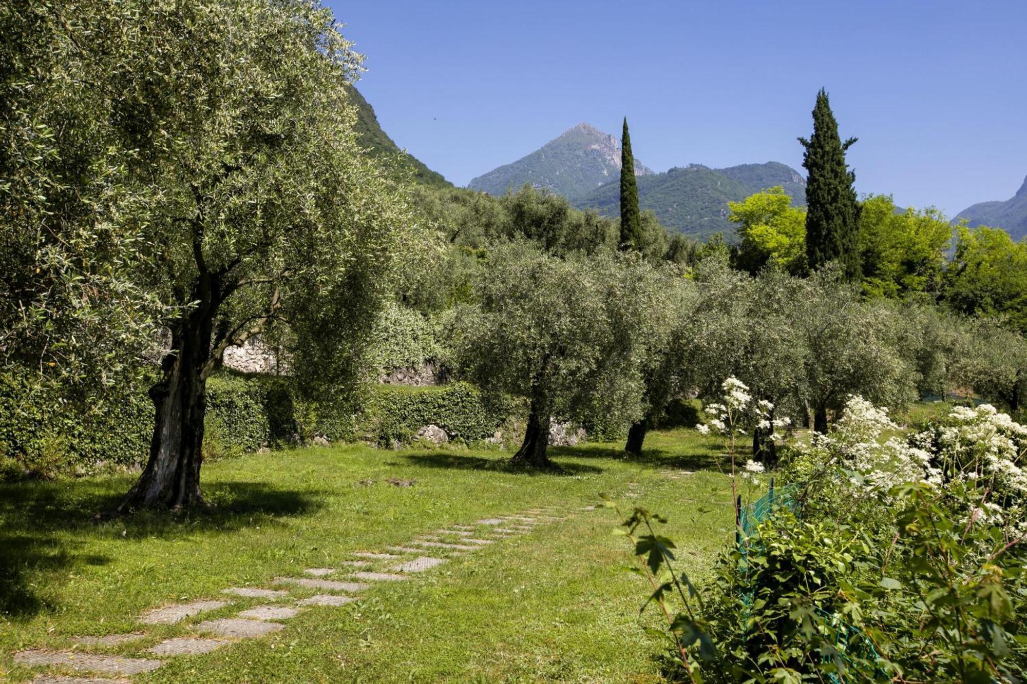 Lake View Dom-Us Apartment - Happy Rentals Riva del Garda Esterno foto